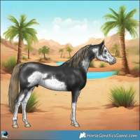 Horse Color:Gray White Spotted Liver Chestnut Mushroom Frame Rabicano 