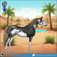 Horse Color:Gray White Spotted Liver Chestnut Mushroom Frame Rabicano