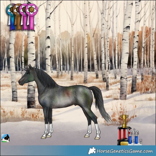 Horse Color:Brown Rabicano 