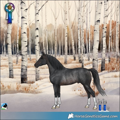 Horse Color:Brown Rabicano 