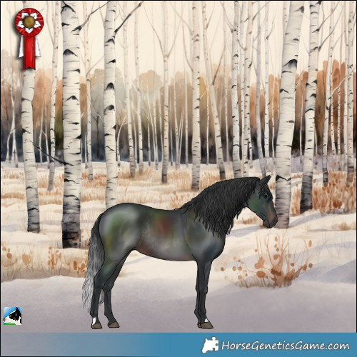 Horse Color:Brown Rabicano 