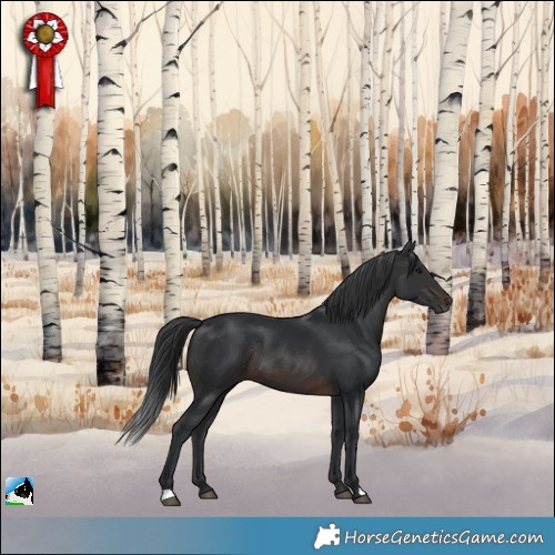 Horse Color:Brown Rabicano