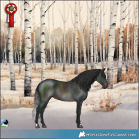 Horse Color:Brown Rabicano
