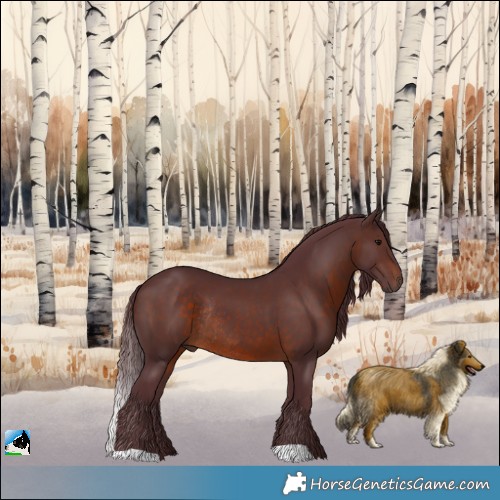 Horse Color:Chocolate Brown Rabicano 
