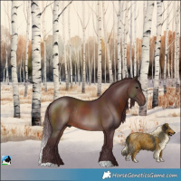 Horse Color:Chocolate Brown Rabicano 