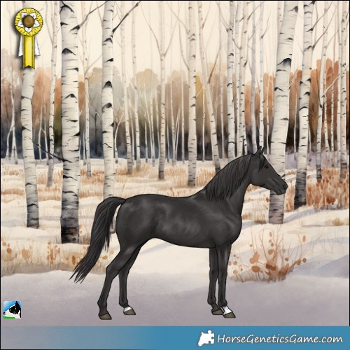 Horse Color:Smoky Black Rabicano 