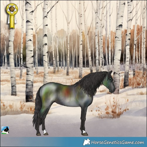 Horse Color:Smoky Black Rabicano 