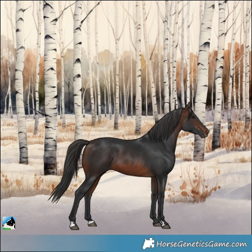 Horse Color:Brown Rabicano 