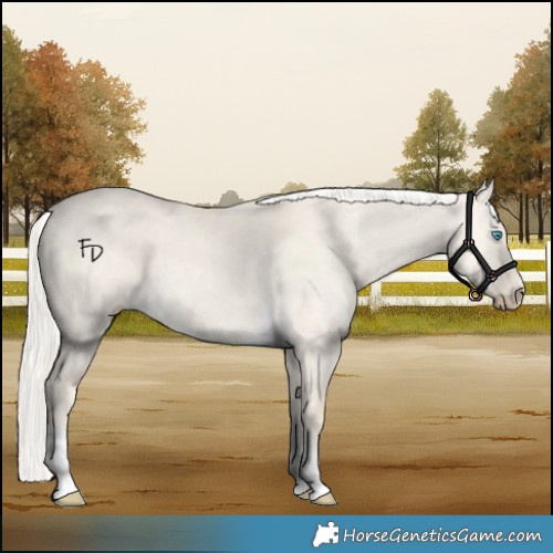 Horse Color:Cremello Dun Tobiano