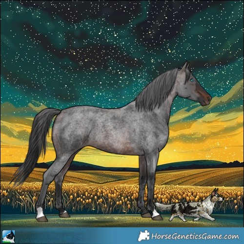 Horse Color:Brown Roan Merle Rabicano