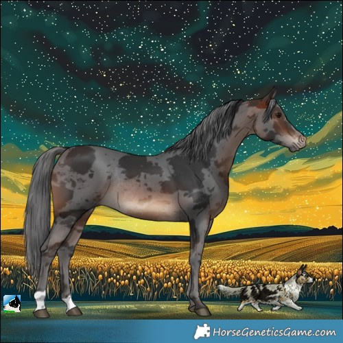 Horse Color:Brown Merle Rabicano 