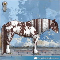 Horse Color:White Spotted Chocolate Brown Snowflake Varnish 