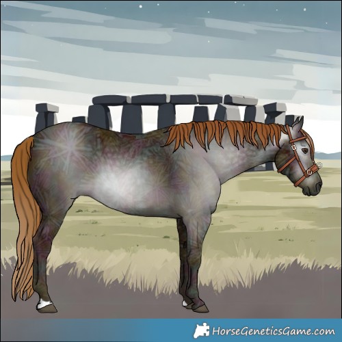 Horse Color:Gray Midnight Chestnut Ice 