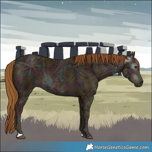 Horse Color:Gray Midnight Chestnut Ice 
