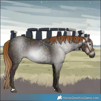 Horse Color:Gray Midnight Chestnut Ice