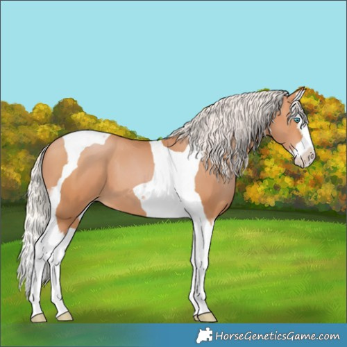 Horse Color:Silver Bay Pearl Splash Tobiano 