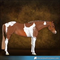 Horse Color:Chestnut Tobiano 