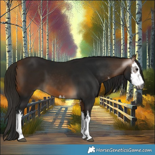 Horse Color:Gray White Spotted Buckskin 