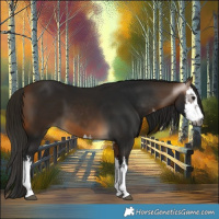Horse Color:Gray White Spotted Buckskin