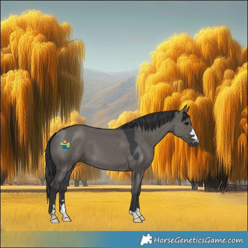 Horse Color:Grullo 