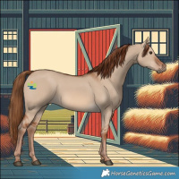 Horse Color:Red Dun 
