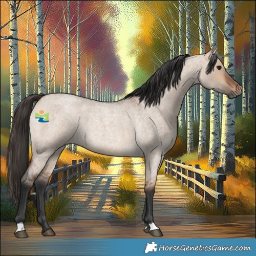 Horse Color:Bay Roan Dun 