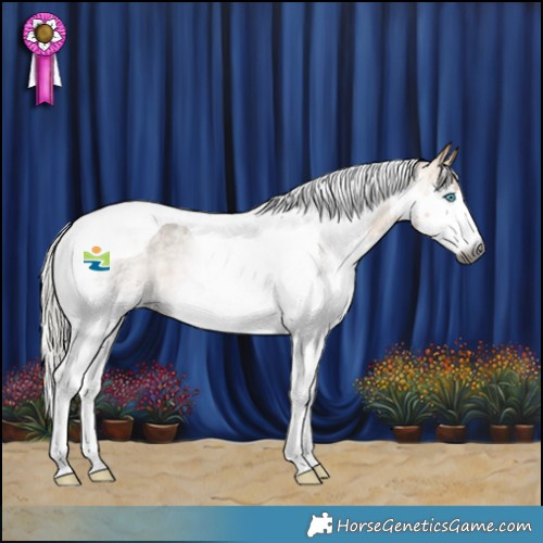 Horse Color:Gray Silver Buckskin Roan Splash Tobiano 