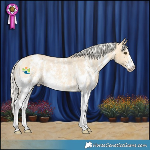 Horse Color:Silver Buckskin Dun Sabino Appaloosa Rabicano 