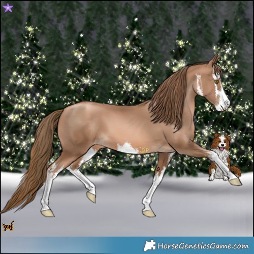 Horse Color:White Spotted Liver Chestnut Pearl 