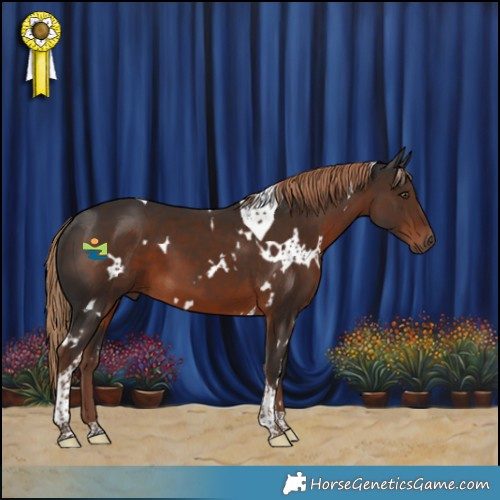 Horse Color:White Spotted Liver Chestnut Tobiano 