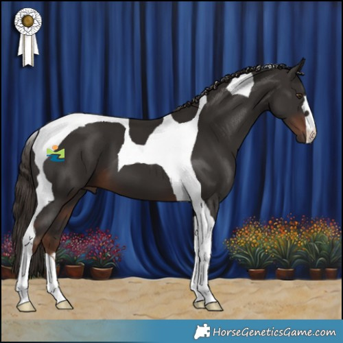 Horse Color:Liver Chestnut Tobiano 