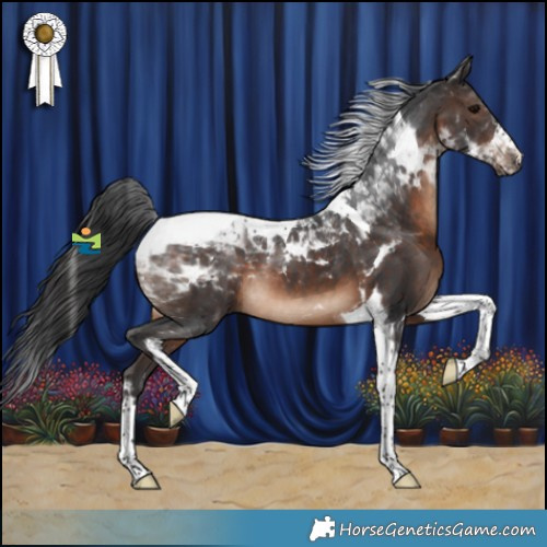 Horse Color:Brown Tobiano 