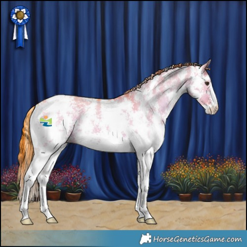 Horse Color:Watercolor Liver Red Dun Sabino Appaloosa
