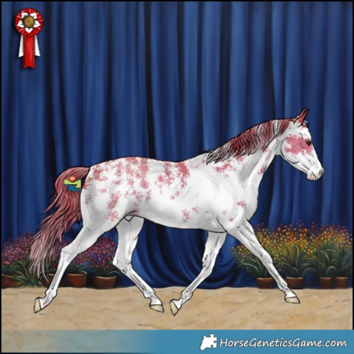 Horse Color:Watercolor Liver Chestnut Sabino 