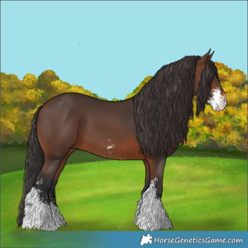 Horse Color:Brown Sabino