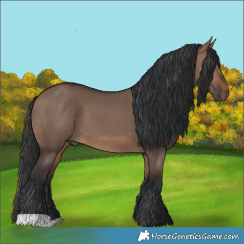 Horse Color:Brown Dun 