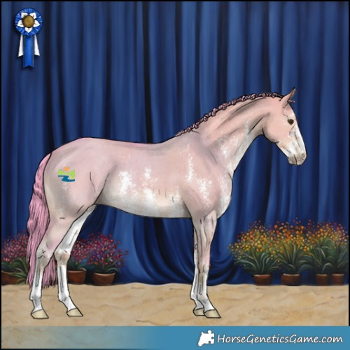 Horse Color:Watercolor Liver Red Dun Sabino 