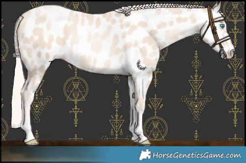 Horse Color:Gold Cream Champagne Pearl Near Leopard 