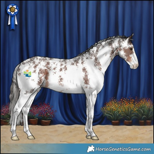 Horse Color:Liver Chestnut Sabino 