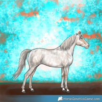 Horse Color:Chocolate Palomino Roan Pearl Splash Appaloosa