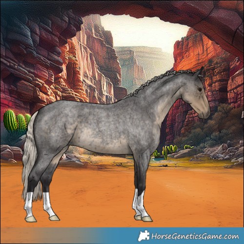 Horse Color:Silver Smoky Blue Roan 