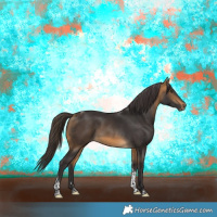 Horse Color:Buckskin Tobiano