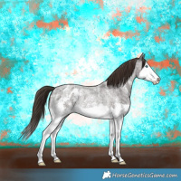 Horse Color:Liver Red Roan Sabino Splash Appaloosa 