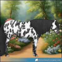 Horse Color:Black Near Leopard