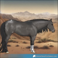 Horse Color:Black Varnish