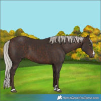 Horse Color:Silver Brown 