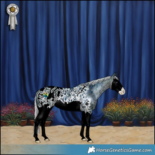 Horse Color:Watercolor Silver Black Chinchilla Ice Sabino Splash Appaloosa 