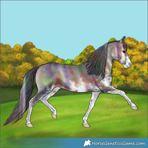 Horse Color:Nacre White Spotted Blue Onyx