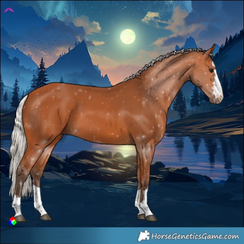 Horse Color:Silver Bay 