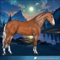 Horse Color:Silver Bay 